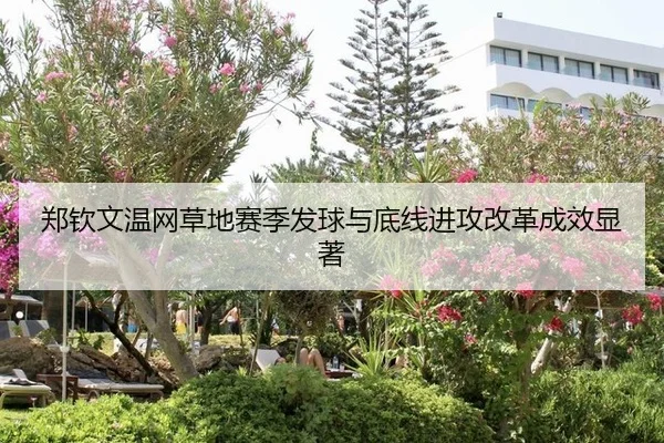 zheng-qin-wen-wen-wang-cao-di-sai-ji-fa-qiu-yu-di-xian-jin-gong-gai-ge-cheng-xiao-xian-zhu-3-562.jpg