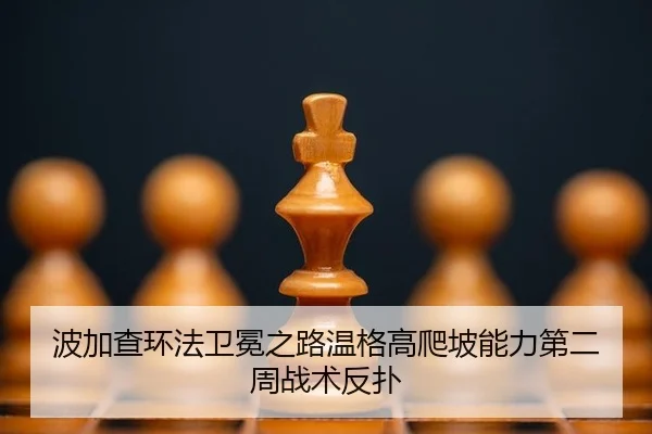 波加查环法卫冕之路温格高爬坡能力第二周战术反扑