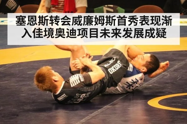 塞恩斯转会威廉姆斯首秀表现渐入佳境奥迪项目未来发展成疑